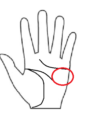 手相　第2火星丘画像　手相後藤　